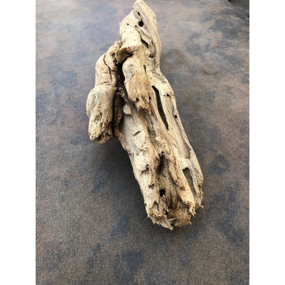Natural Driftwood for Plants Terrarium Taxidermy Art Projects - Picture 5 of 7